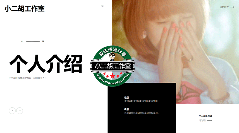 网站标题.gif