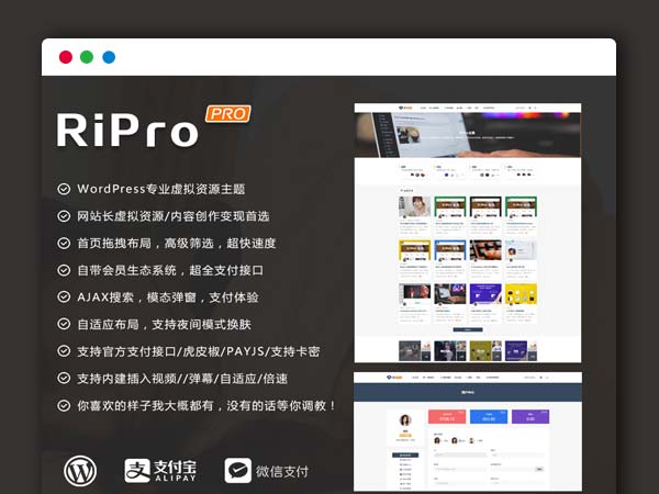 最新日主题RIPro主题 6.2版本 Wordpress模板 虚拟资源素材下载主题网站源码